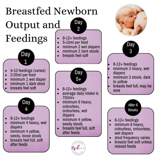 Breastfed Newborn Output and Feedings Sticker